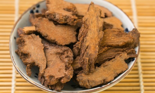 乙肝病毒的潜伏期是多长时间-乙肝病毒活跃期的症状、乙肝病毒会有什么症状 -乙肝病毒潜伏期症状网